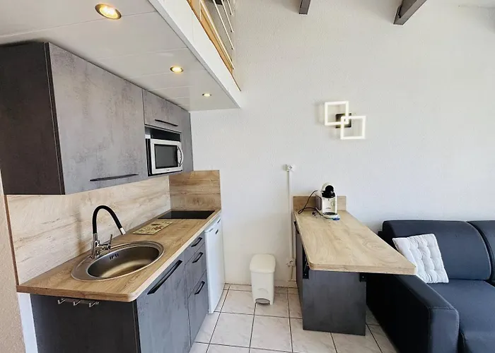 Appartement Cap D'agde Naturisme Cn010-488 *